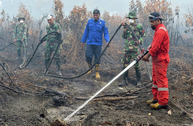 160311_ID_FIRE_1000 160311_ID_FIRE_1000