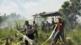 160808_ID_forest_1000.jpg