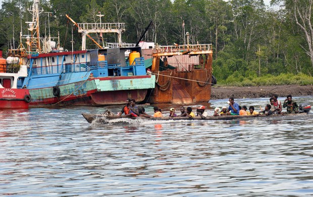 papua-620 papua-620