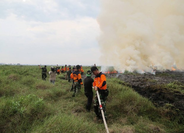 160527_ID_applicationforestfire_1000.jpg 160527_ID_applicationforestfire_1000.jpg