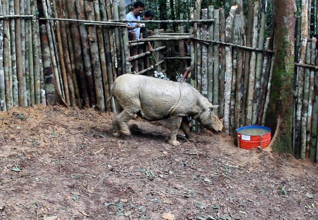 160406_ID_Rhino_1000.jpg 160406_ID_Rhino_1000.jpg