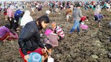 170217_ID_Nyale_1000.jpg