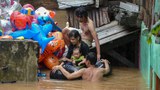 Cegah banjir, pemerintah berencana bangun tanggul di pantura