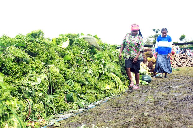 160222_ID_Papua_1000 160222_ID_Papua_1000