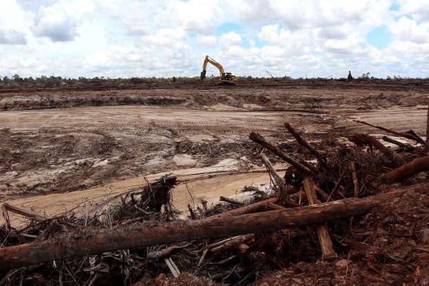 FAO: 2021-2022 Indonesia alami penurunan deforestasi, aktivis: angka itu tidak berarti banyak FAO: 2021-2022 Indonesia alami penurunan deforestasi, aktivis: angka itu tidak berarti banyak