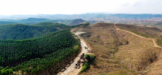Studi: Indonesia penyumbang terbesar kerusakan hutan tropis karena pertambangan Studi: Indonesia penyumbang terbesar kerusakan hutan tropis karena pertambangan