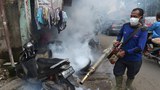 dengue-1000.jpg