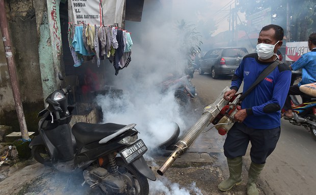 dengue-1000.jpg