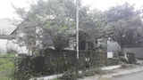 170313_ID_Malang_620.jpg