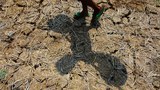 El Niño akibatkan kekeringan di Kota Hujan, warga Jonggol kekurangan air