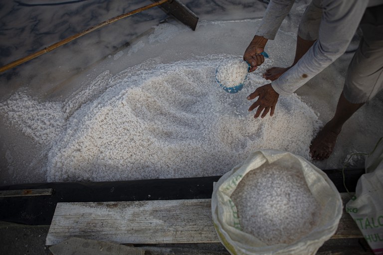 Petani mengambil garam menggunakan timba plastik untuk dimasukkan ke dalam karung 50 kg sebelum dijual seharga Rp200 ribu untuk garam konsumsi, Rp150 ribu garam ikan, dan Rp100 ribu garam pupuk kepada pengecer dan pengepul di penggaraman Talise, Palu, Sulawesi Tengah, Sabtu (5/22/2022). Dalam setahun, penggaraman Talise bisa memproduksi ratusan ton garam hasil panen. Dan selain untuk memenuhi kebutuhan warga Palu, garam talise juga disuplai ke sejumlah wilayah di Indonesia, bahkan menembus pasar Asia Tenggara. [Taufan Bustan/BenarNews]