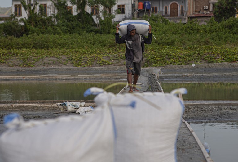 Petani memikul karung berisi 50 kg garam yang baru dipanen di penggaraman Talise, Palu, Sulawesi Tengah, Sabtu (27/11/2022) untuk keluar dari lokasi penggaraman. Cara ini mempertahankan apa yang telah dilakukan para pendahulu petani garam di lokasi ini. Setelah garam dipikul dan berada di luar kawasan penggaraman, lalu dinaikkan ke dalam gerobak sapi untuk kemudian dijual ke pembeli. [Taufan Bustan/BenarNews]