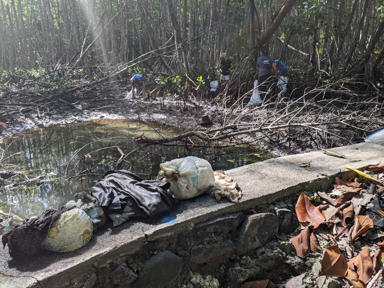 Popok menjadi pencemar yang banyak ditemukan saat pembersihan sungai, sementara di latar belakang tampak para relawan Sungai Watch sedang melakukan tugasnya di Taman Hutan Rakyat (Tahura) Mangrove, di Bali, 2 September 2022. [Luh De Suriyani/BenarNews]