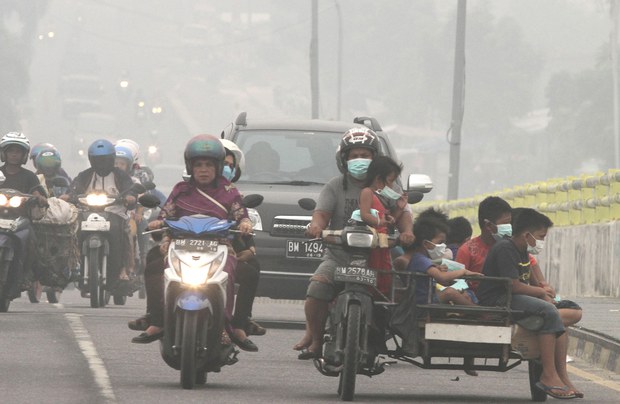 190215-ID-greenpeace-620.jpg