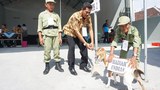 180709_ID_Election_1000.jpg