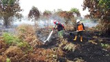 190301_ID_Forest-fire_1000.jpg