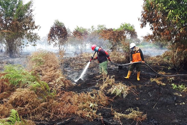 190301_ID_Forest-fire_1000.jpg