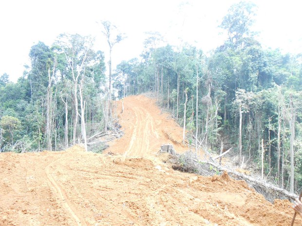 171204_ID_Hutan_1000.jpg 171204_ID_Hutan_1000.jpg