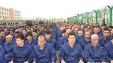 181220-ID-uyghur-use-620.jpeg