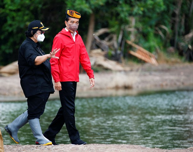 Indonesia Tolak Nol Deforestasi, Aktivis Pertanyakan Komitmen Iklim Pemerintah