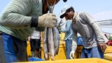 191210_ID_fishermen_1000.jpg