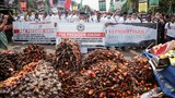 Indonesia kembali wajibkan produsen sawit pasok kebutuhan domestik