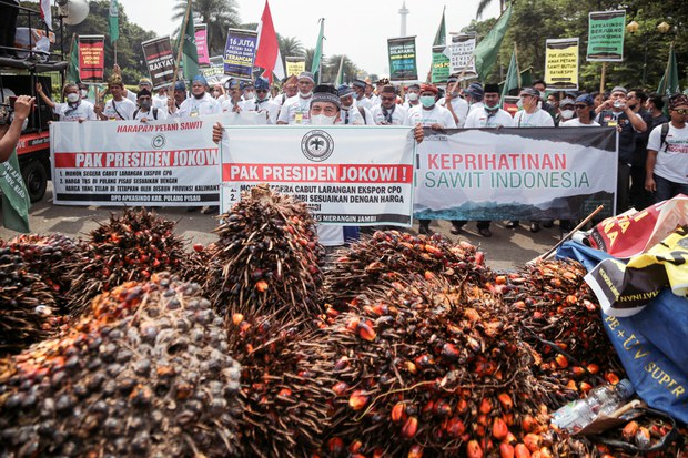 Indonesia kembali wajibkan produsen sawit pasok kebutuhan domestik