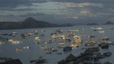 Indonesia kecam baku tembak di Myanmar saat konvoi ASEAN kirimkan bantuan kemanusiaan