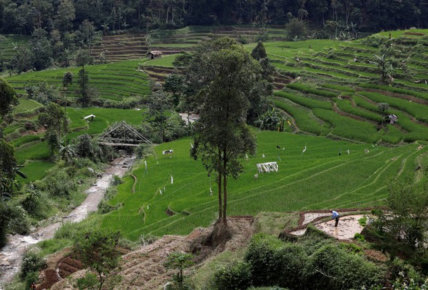 200923_ID_Food_Security_1000.jpg