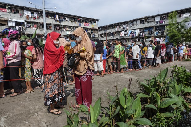 Jokowi Larang Ekspor CPO dan Minyak Goreng per Pekan Depan