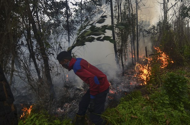 Kabut Asap Akibat Kebakaran Hutan Mulai Selimuti Riau Kabut Asap Akibat Kebakaran Hutan Mulai Selimuti Riau