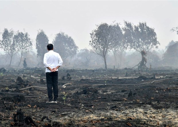 190917-ID-jokowi-1000.jpg 190917-ID-jokowi-1000.jpg