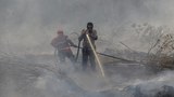 190925_ID_Haze_1000.jpg