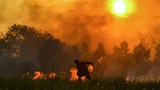 190806_ID_Forestfire_1000.jpg