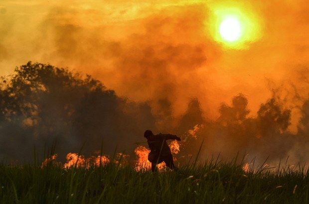 190806_ID_Forestfire_1000.jpg 190806_ID_Forestfire_1000.jpg
