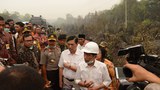 1190719_ID_Forestfire_1000.jpg