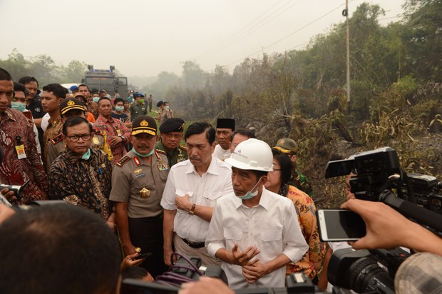 1190719_ID_Forestfire_1000.jpg