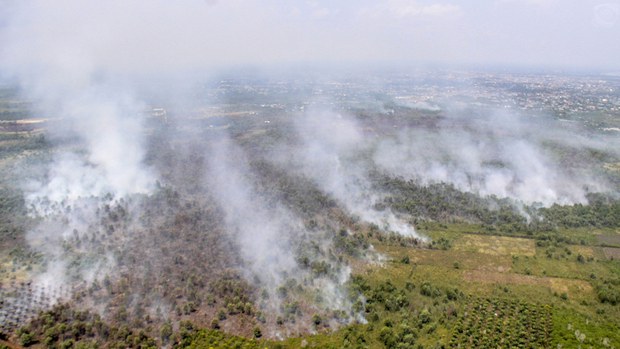 190225_ID_ForestFire_1000.jpg