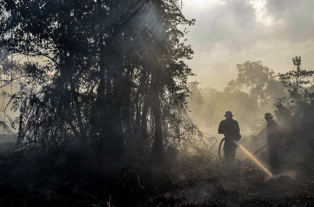 190809_ID_ForestFire_Riau_1000.jpg
