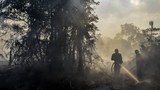 190809_ID_ForestFire_Riau_1000.jpg