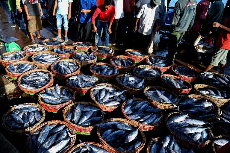Ikan dalam keranjang-keranjang untuk dijual terlihat di pelabuhan perikanan di Banda Aceh, Indonesia, 15 Juli 2021. [AFP]
