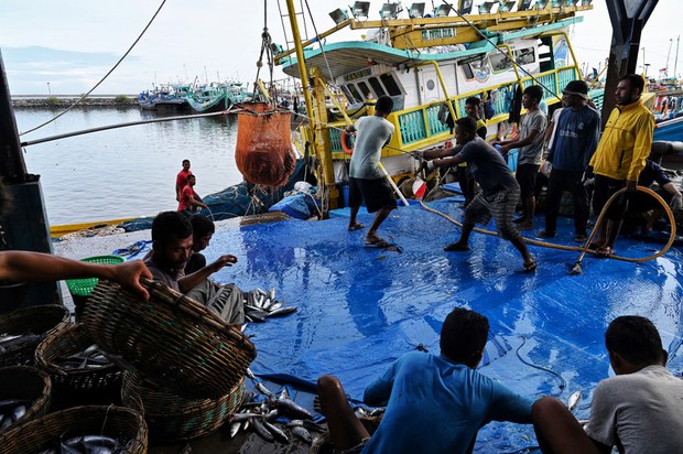 Komnas HAM: Sanksi AS atas kapal ikan China bisa bawa efek jera