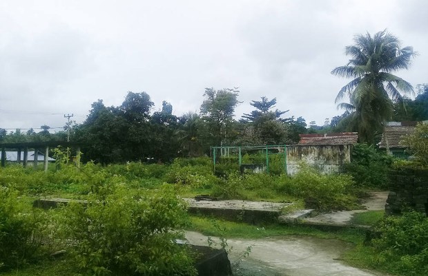 170921_ID_Pelauw_1000.jpg 170921_ID_Pelauw_1000.jpg