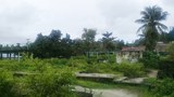 170921_ID_Pelauw_1000.jpg