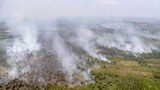 190102_ID_Riau_ForestFire_1000a.jpg