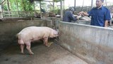 170322_ID_Bali_1000.jpg