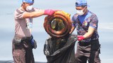 180403_ID_pollution_1000.jpg