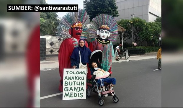 MK tolak permohonan penggunaan ganja untuk medis