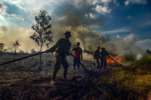 Akademisi, Aktivis: Penghentian Moratorium Sawit Mengancam Kelangsungan Hutan Akademisi, Aktivis: Penghentian Moratorium Sawit Mengancam Kelangsungan Hutan