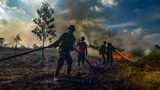 Akademisi, Aktivis: Penghentian Moratorium Sawit Mengancam Kelangsungan Hutan